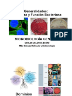 Generalidades Bacterianas 2020 (2)