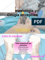 Anestesiología y cirugía en reptiles: protocolos, fluidoterapia y analgesia