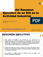Análisis Del Resumen Ejecutivo de Un EIA en La Actividad Industrial