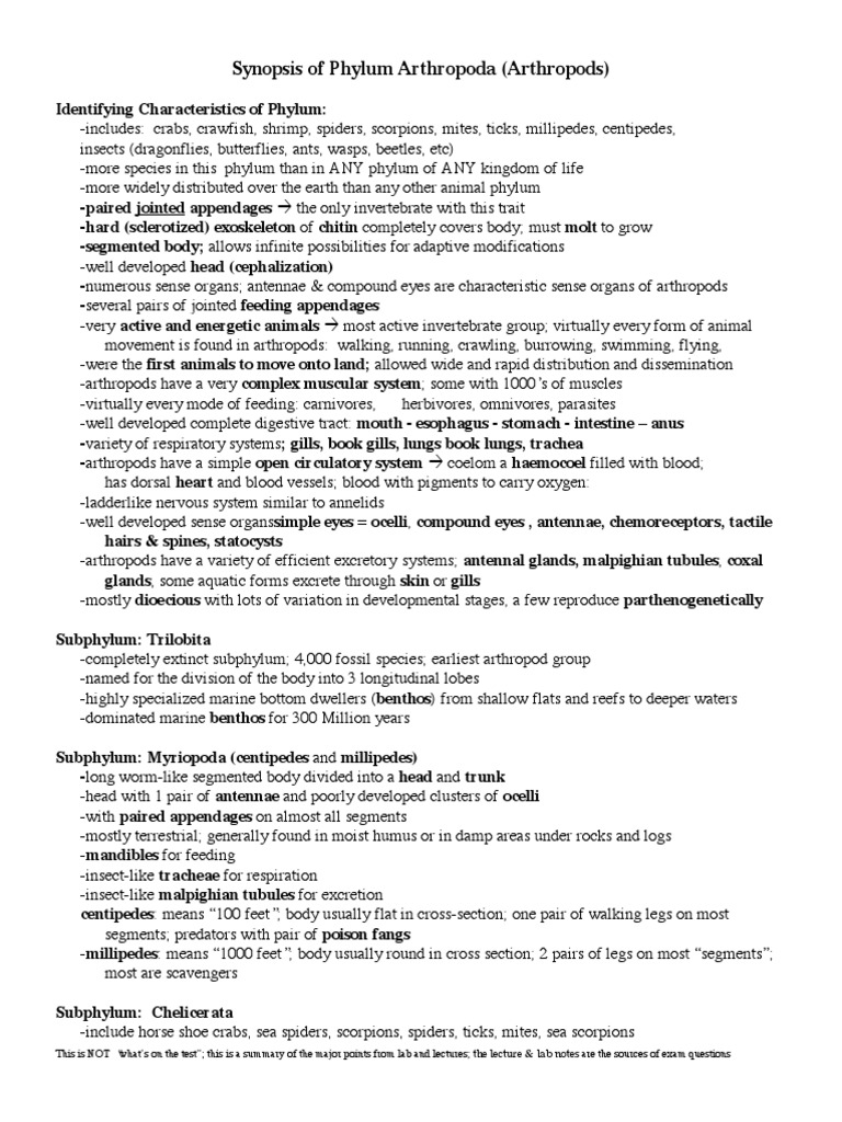 Synopsis For Arthropoda | PDF | Crustacean | Insects