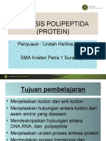SINTESIS Protein