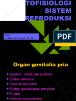 Patofisiologi Sistem Reproduksi