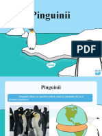 T G 303 Pinguinii Prezentare Powerpoint