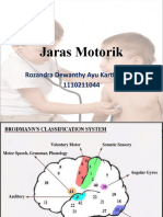 Jaras Motorik Otak