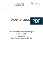 Bioenergética