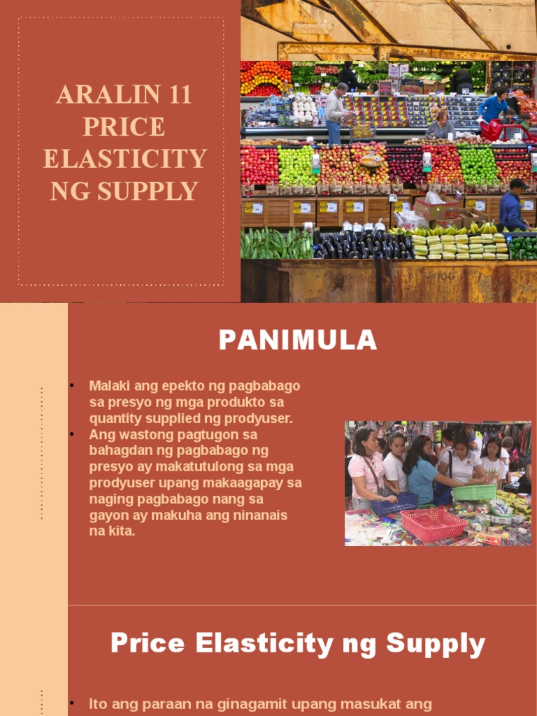 Price Elasticity NG Supply PDF