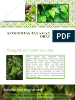 Komoditas Tanaman Obat