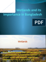 Wetlands Importance Bangladesh