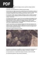 Tesis para La Presentación Del Descubrimiento Del Desierto Negro