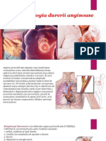 Angina Pectorala PPT Patogenie