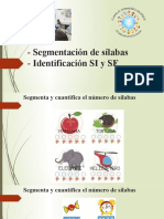 Segm Identificacion Si y SF Kinder