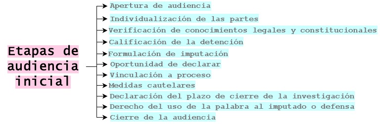 Etapas de la Audiencia Inicial Penal | PDF