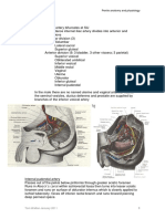 TJW Penile Anatomy and Physiology
