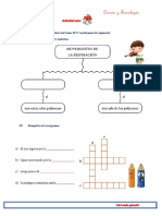 Actividad - Sistema Respiratorio