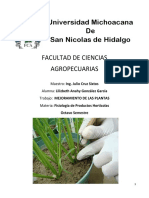 MEJORAMIENTO DE LAS PLANTAS