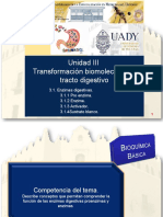 1 - 3.1. ENZIMAS DIGESTIVAS ACTUALIZADO