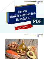 2 - 4.2. Absorción y Distribución Lipidos - Of2007