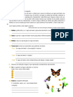 Sapo-de-fowler: reprodução e metamorfose