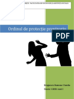 VioentaDomestica-Ordinul de Protectie Provizoriu