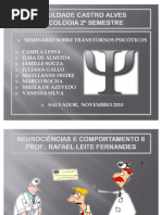 FACULDADE CASTRO ALVES