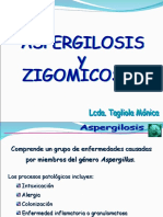 Aspergilosis Zygomicosis
