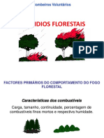 Fogos Florestais