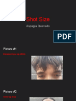 Shot Size