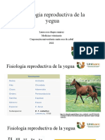 Fisiología reproductiva de la yegua (2)