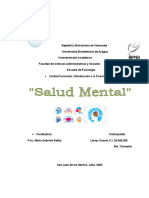 Leivys Soares (Trabajo de investigación) “Salud Mental”