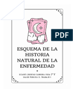 Esquema de La Historia Natural de La Enfermedad.