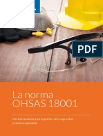 eBook Ohsas 18001 Gestion Seguridad Salud Ocupacional