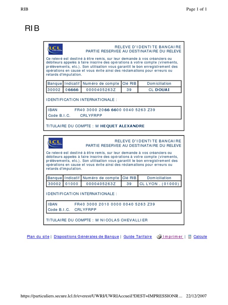 Rib Double LCL | PDF