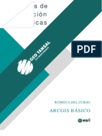 Rúbrica-Curso Arcgis Básico