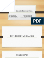 Estudio Mercados, Tecnico y Organizacional