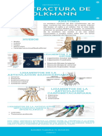 Infografia Contractura de Volkmann