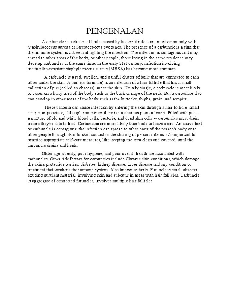 Carbuncle PDF Immunology Microbiology