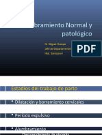 pdf-alumbramiento-normal