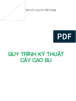 Quy_trinh_Ky_thuat_cay_cao_su