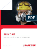 13 Silicosis A4 LOW