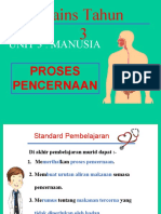 Proses Pencernaan Tahun 3