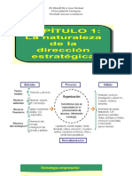 La Naturaleza de Planeacion Estrategica