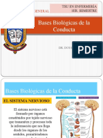 Psicologia. 1.4. Bases Biologicas de La