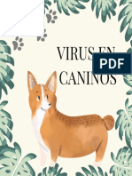 Virus en Caninos