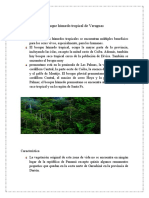 Bosque Tropical de Veraguas