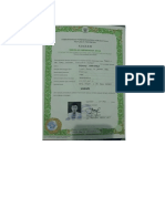 ijazah