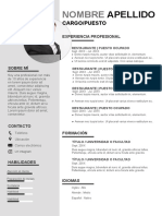 73 Curriculum Vitae Empresarial