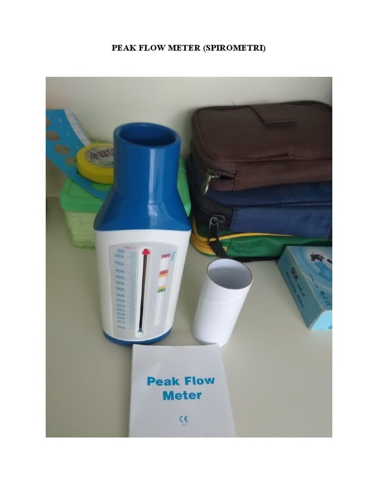 Peak Flow Meter PDF