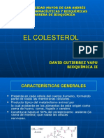 Caracteristicas Colesterol