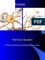 Neurological Basis of Behavior 2lecture Structure of Neurons