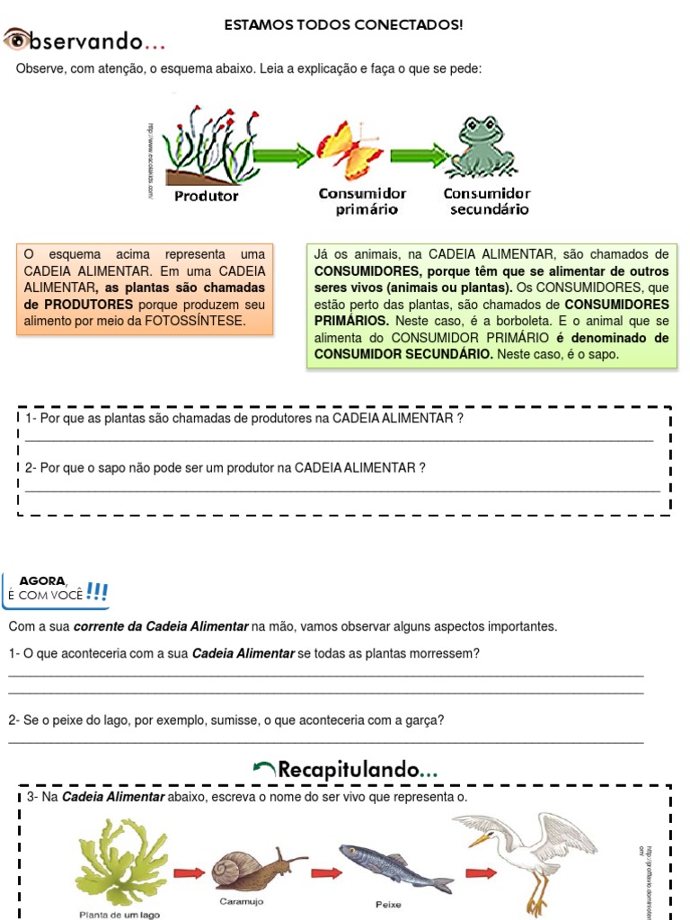 Atividades sobre Cadeia Alimentar 4º Ano | PDF | Herbívoro | Ecologia ...